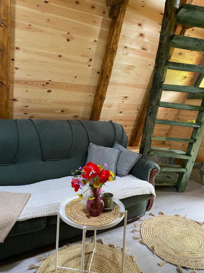 Villa Eco Kutak 2 à Mojkovac Extérieur photo